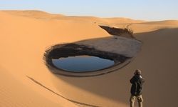 于剑：企业唯利是图招致沙漠之殇